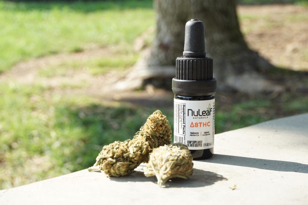 cannabis tinctures
