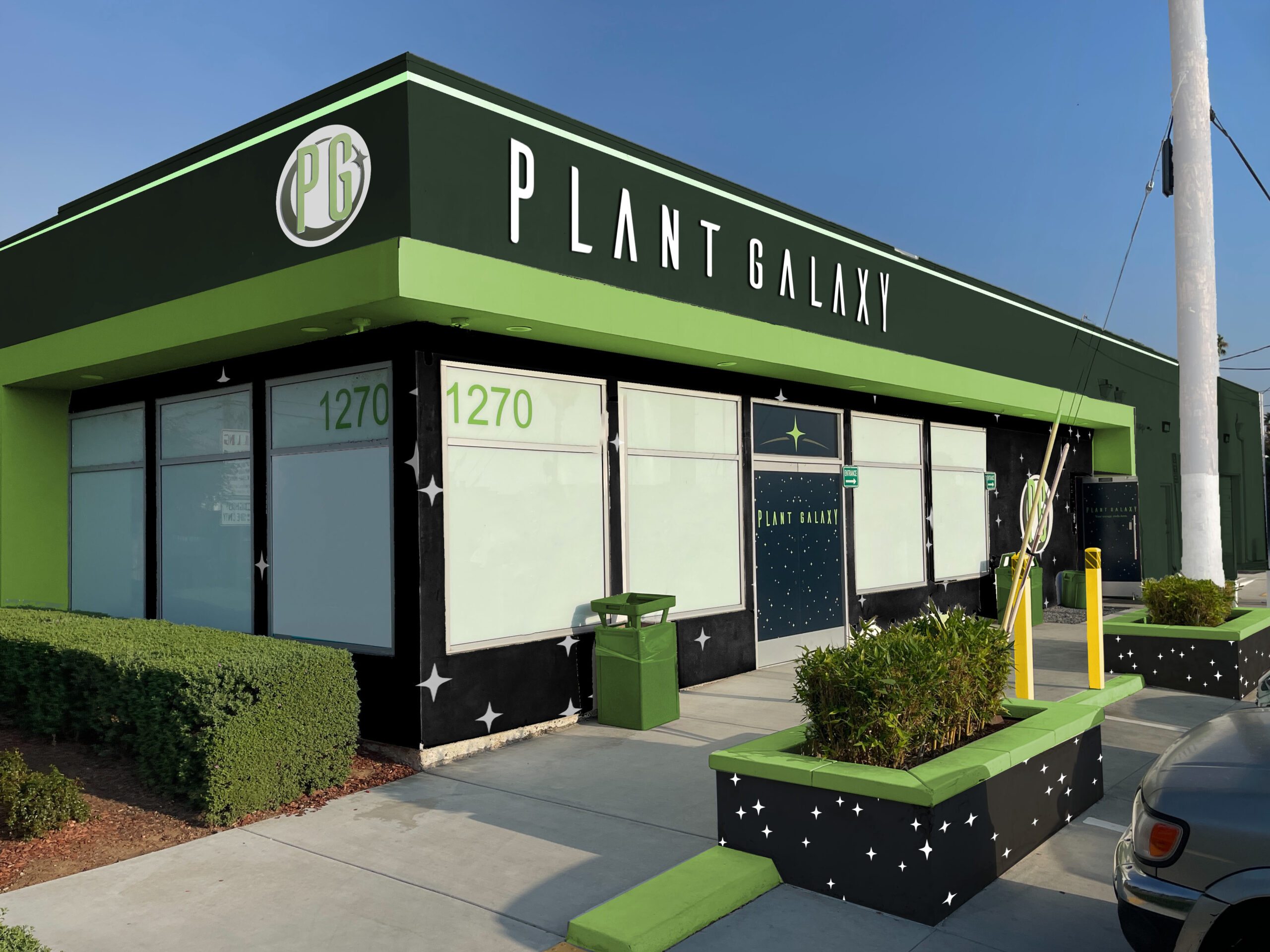 A Day at Plant Galaxy – Where the Team Feels Like Family
