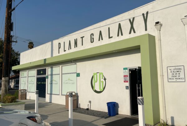 Plant Galaxy exterior