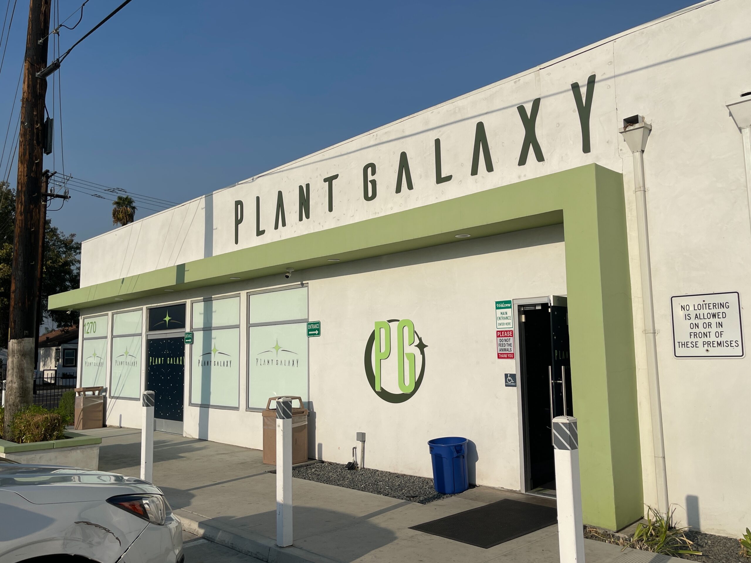 Calling All Creatives: Help PG Design the Iconic Lobby Leaf