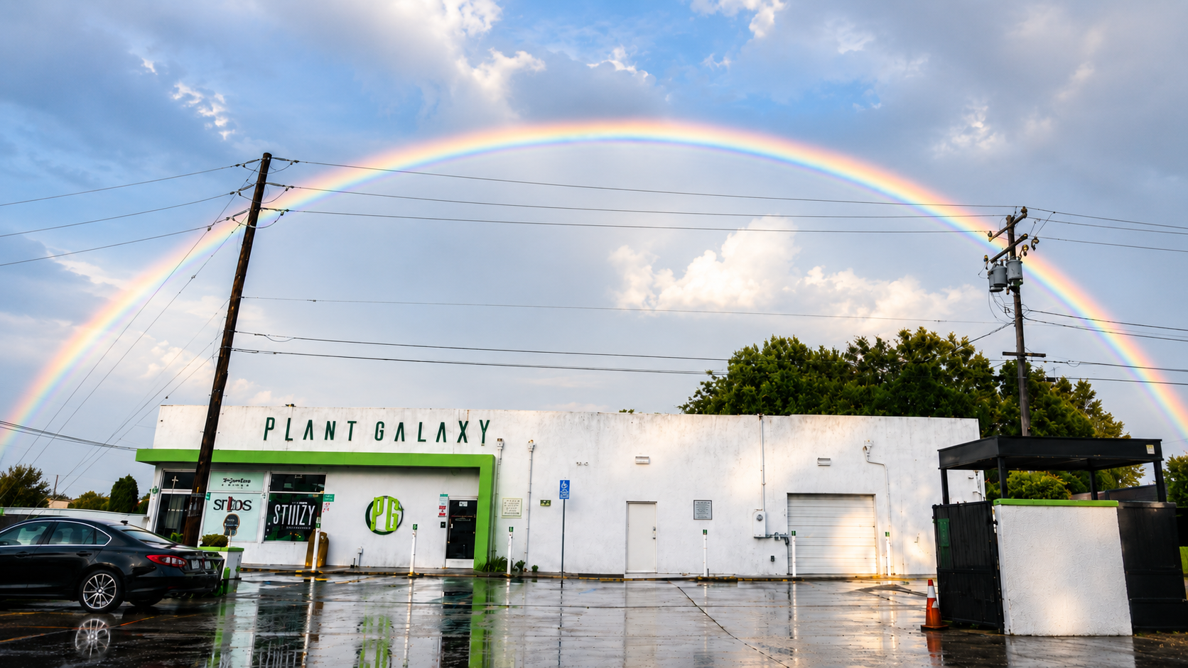 Plant Galaxy Now Does Free Delivery for Riverside Locals