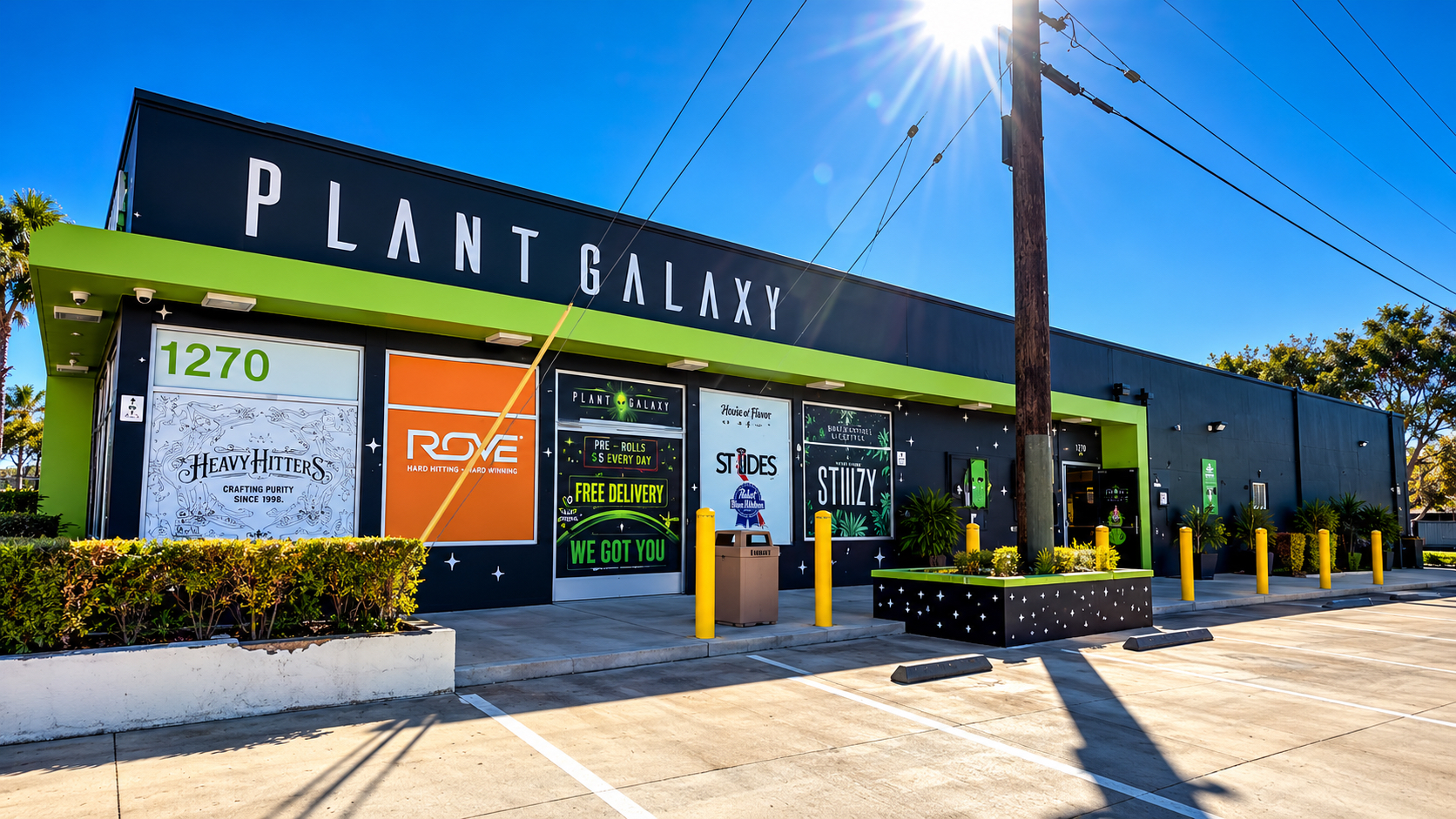 Plant Galaxy Turns 5: Thank You, Riverside